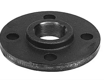 Grundfos Tegenflens met schroefdraad pn10/16 2 grundfos voor pomp DN 50 96569171