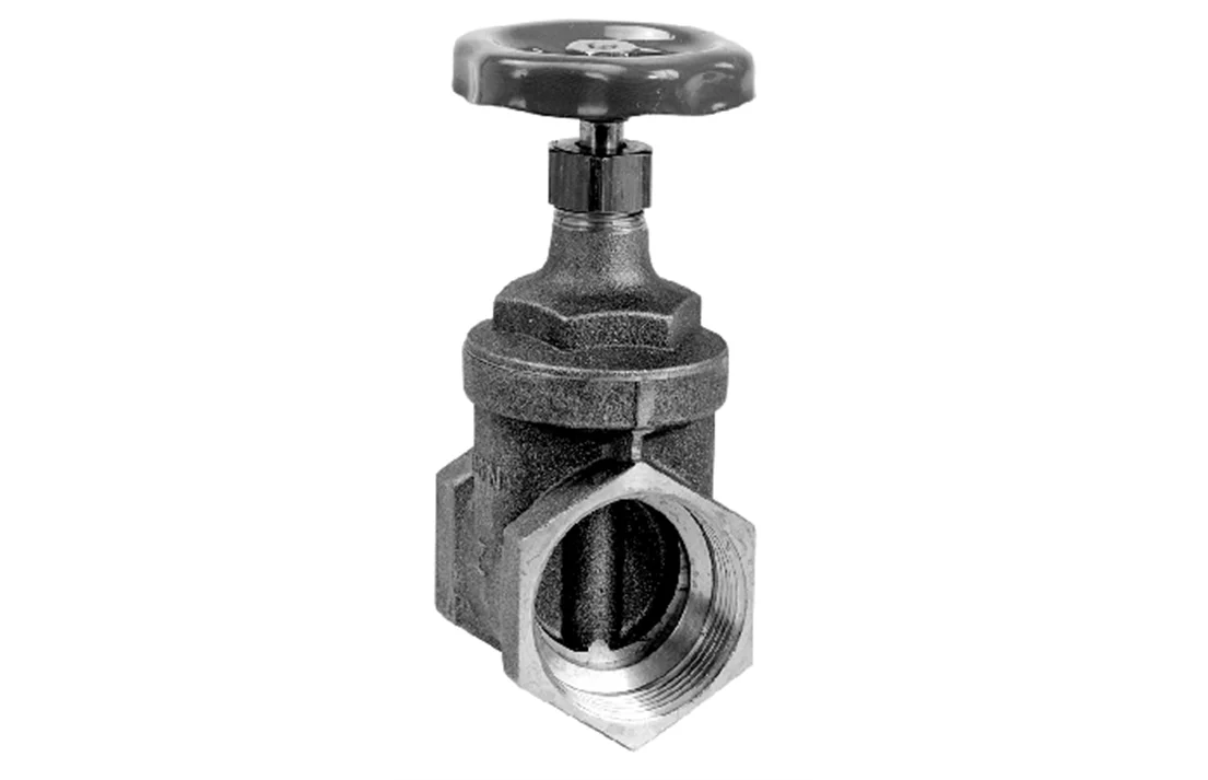 Grundfos Isolatieventiel Rp/Rp 6/4 grundfos 96489973