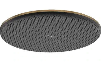 Hansgrohe 24520140 Hansgrohe Raindance Alive S hoofddouche 300 mm 1jet - Brushed Bronze
