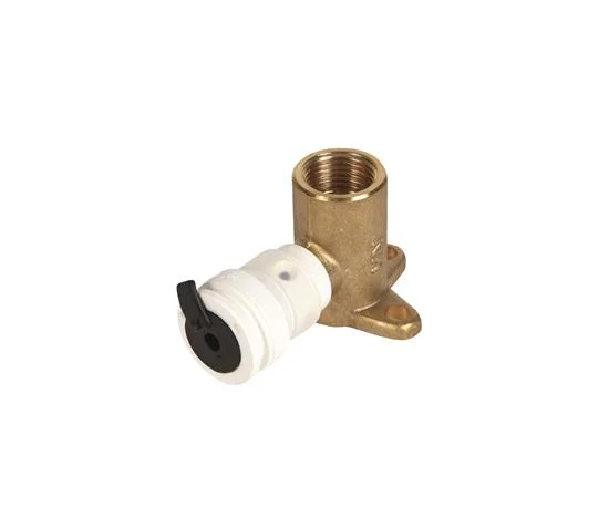 Henco Steekmuurplaat messing 16mm x1/2" F (drink)water Henco Vision - Push Fit 2S-1604K