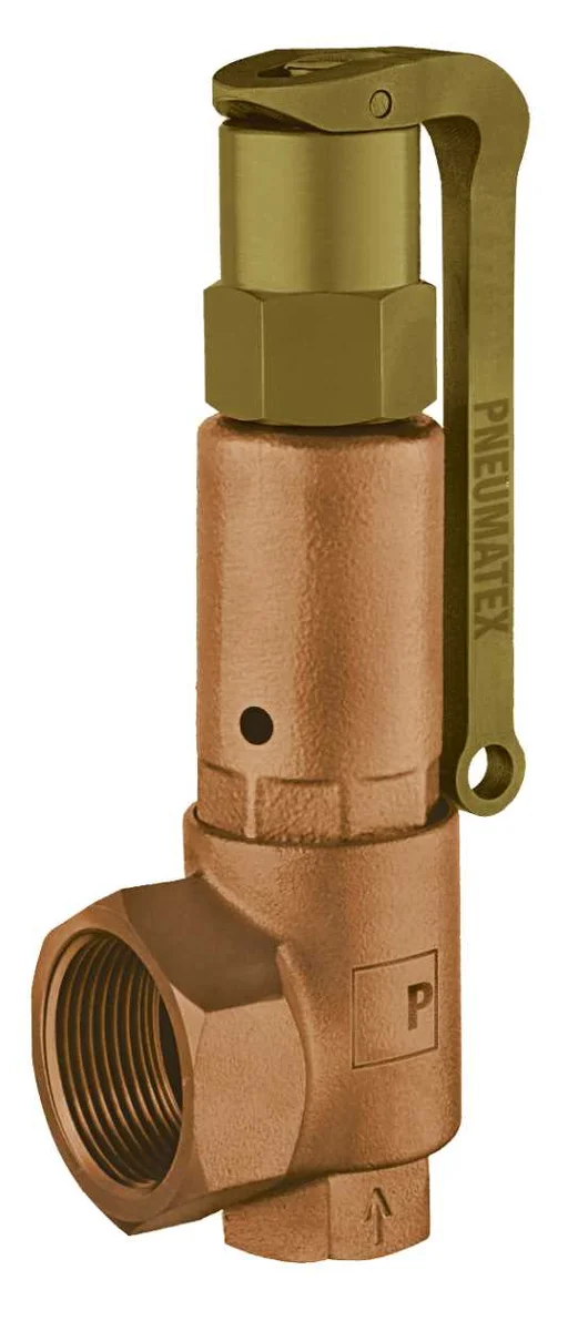 IMI Pneumatex Veiligheidsklep IMI Pneumatex DSV...DGH 5/4" binnendraad 2" binnendraad 10bar DSV 32-10 DGH 5364100
