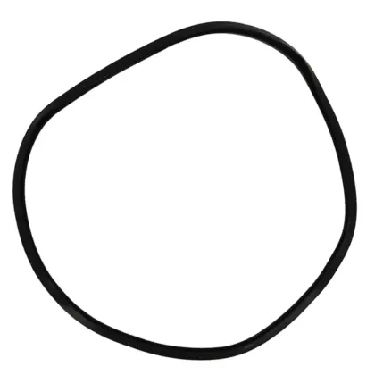 Remeha Toebehoren/onderdelen voor gasgestookte cv-ketels Remeha 721987300