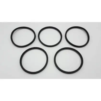 Remeha Afdichtring diam. 100 (5 Stuks) remeha 7701752