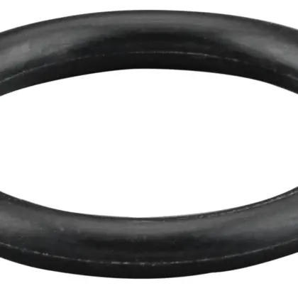 Rems O-ring Rems 060364