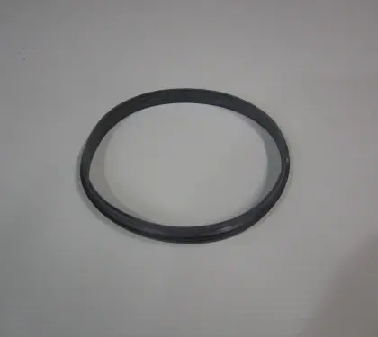 Roccheggiani SP - DP25 Viton dichting 150 mm 31.683.01.50