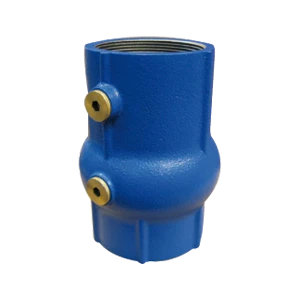 Socla 149B3810 Watts EA253 terugslagklep FF 2 1/2 x 2 1/2 - gietijzer - Belgaqua gekeurd