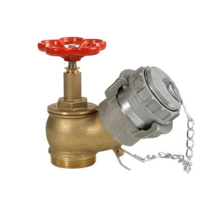 Somati MUURHYDRANT 2.1/2 - messing EN 671-2 DIN 14461-3 (PN16) somati BAC009