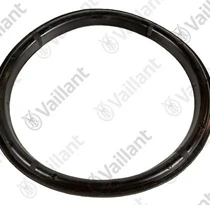 Vaillant Flensdichting