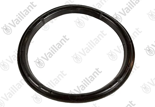 Vaillant Flensdichting