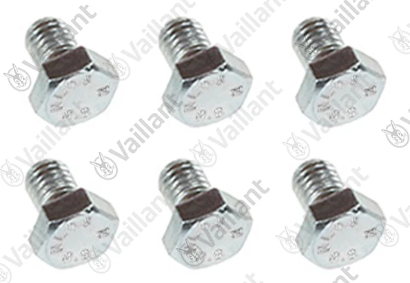 Vaillant Schroef, 6 stuks Vaillant 0010042563