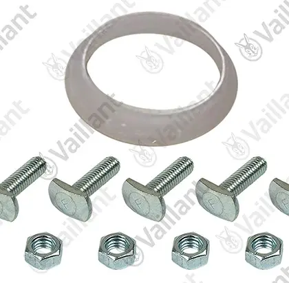 Vaillant Flensdichting Vaillant 0010043413