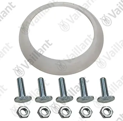 Vaillant Flensdichting Vaillant 0010043414