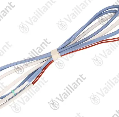 Vaillant Vorstbeveiliging