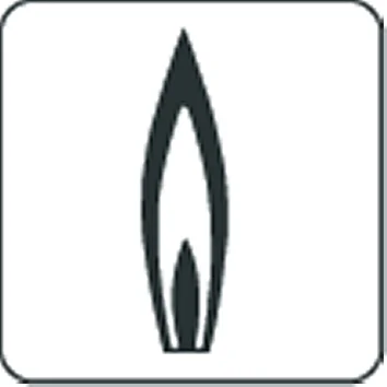 Vaillant Brander vaillant 0020072348
