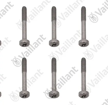 Vaillant Schroef  vaillant 0020143468