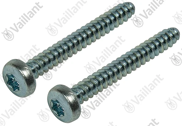 Vaillant Schroef, 4,8 x 38 mm 2 stuks Vaillant 0020185251