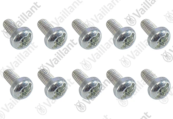Vaillant Schroef  vaillant 0020210294