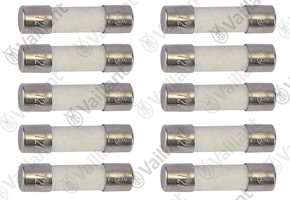 Vaillant Zekering  vaillant 0020211552