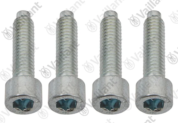 Vaillant Schroef pomp (x4) Vaillant 0020213144