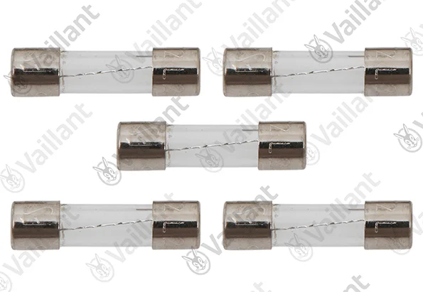Vaillant Zekering  vaillant 0020216941