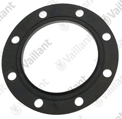 Vaillant Flensdichting Vaillant 0020254143