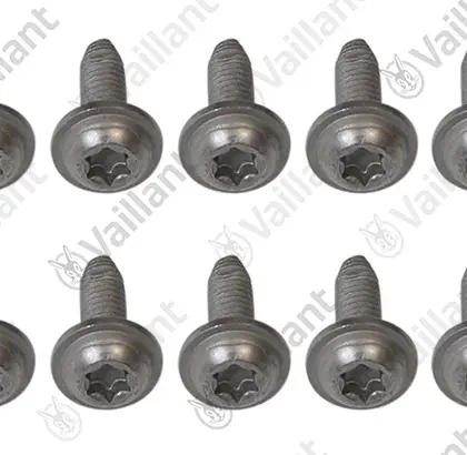 Vaillant Schroef  vaillant 0020266342