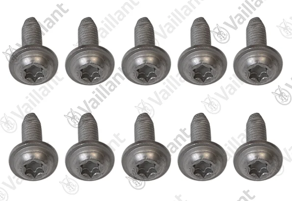 Vaillant Schroef  vaillant 0020266342