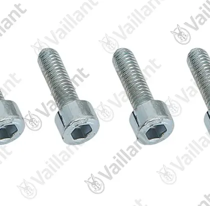 Vaillant Schroef  vaillant 0020268779