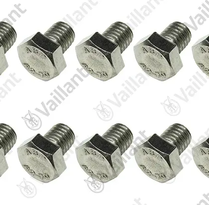 Vaillant Schroef  vaillant 0020269436