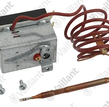 Vaillant Schakelaar vaillant 0020273853