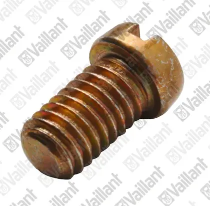 Vaillant Membraanschroef watergedeelte vaillant 010003