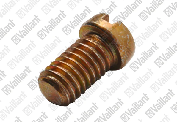Vaillant Membraanschroef watergedeelte vaillant 010003