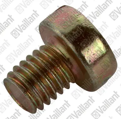 Vaillant Schroef vaillant 105831