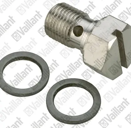 Vaillant Schroef vaillant 155614