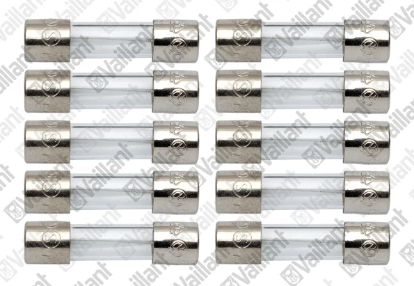 Vaillant Zekering 0,16 AT vaillant 251960