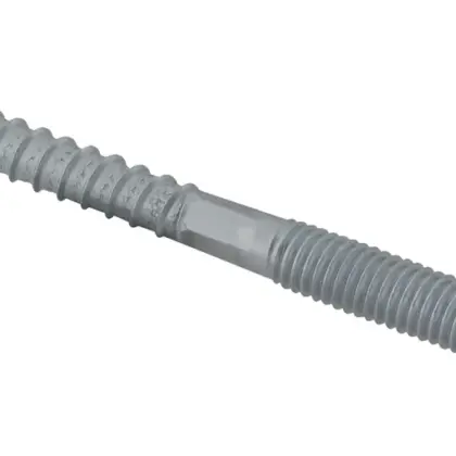 Walraven BIS Houtdraadpen ev Torx M8x80mm walraven 6263808