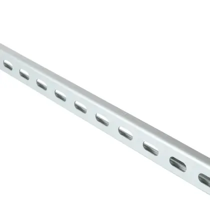 Walraven Railconsole Walraven BIS Rapidstrut 20.6x48mm L305mm 6603828