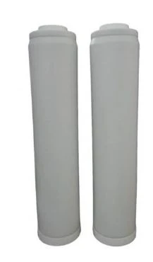 WaterGenius 01.401.033 WaterGenius XXL regenwater vervangfilter (set 2 st)
