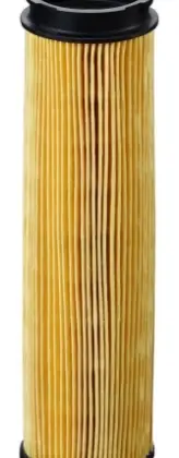 Watts Tigerloop Opticlean MC18 filter 5µ voor Tigerloop Combi Magnum 0199028