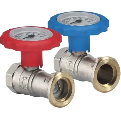 Watts 1706101 Watts WattsCIR Thermo 1A pompset met bolkranen en thermometer 6/4 x 4/4 - prijs per set