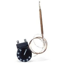 Watts Regelaquastaat met knop en ring KTC 100 Watts 10026977