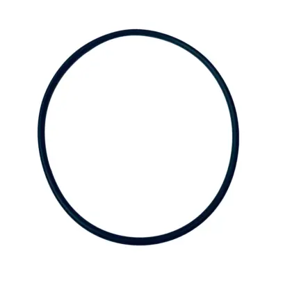 Wilo O-ring ID.107